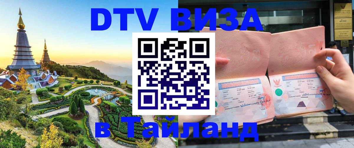 Сколько стоит DTV виза — актуальные цены, оформление даже без документов - 